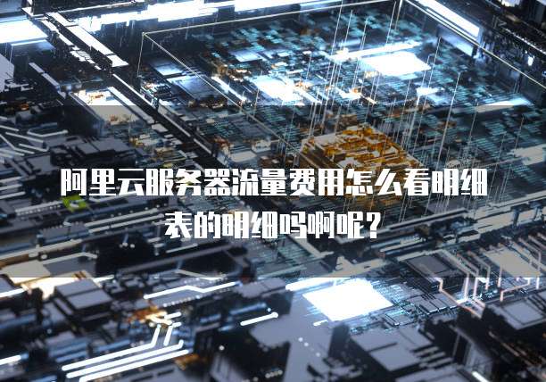 阿里云服务器流量费用怎么看明细表的明细吗啊呢?