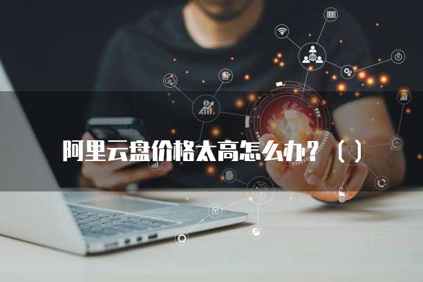 阿里云盘价格太高怎么办?()