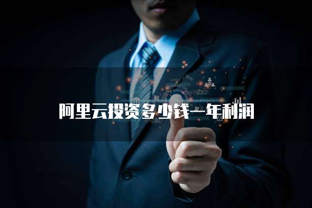 阿里云投资多少钱一年利润