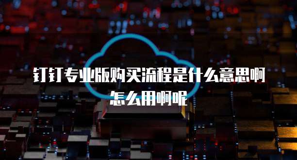 钉钉专业版购买流程是什么意思啊怎么用啊呢