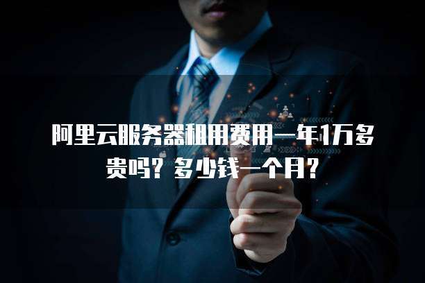 阿里云服务器租用费用一年1万多贵吗?多少钱一个月?
