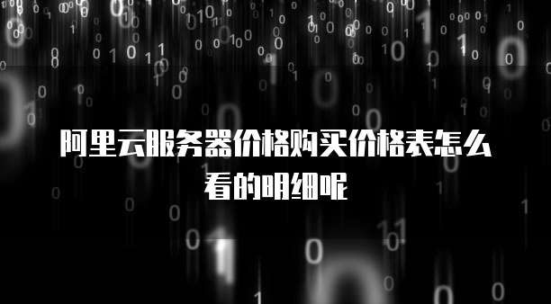 阿里云服务器价格购买价格表怎么看的明细呢