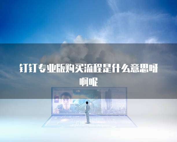 钉钉专业版购买流程是什么意思呀啊呢