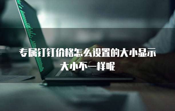 专属钉钉价格怎么设置的大小显示大小不一样呢
