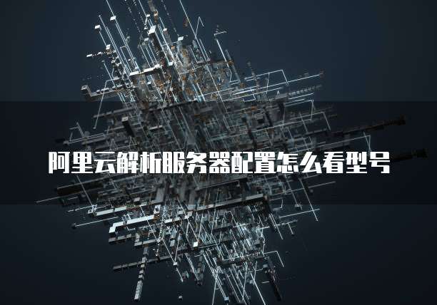 阿里云解析服务器配置怎么看型号
