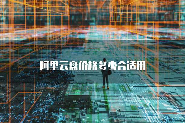 阿里云盘价格多少合适用
