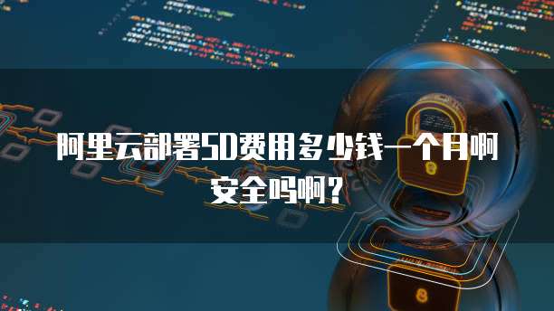 阿里云部署SD费用多少钱一个月啊安全吗啊?