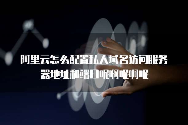 阿里云怎么配置私人域名访问服务器地址和端口呢啊呢啊呢