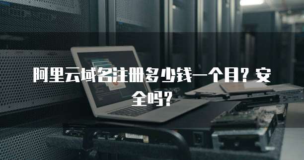 阿里云域名注册多少钱一个月?安全吗?