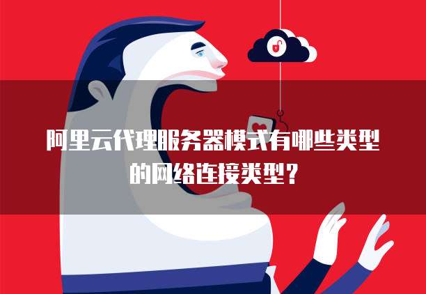 阿里云代理服务器模式有哪些类型的网络连接类型?