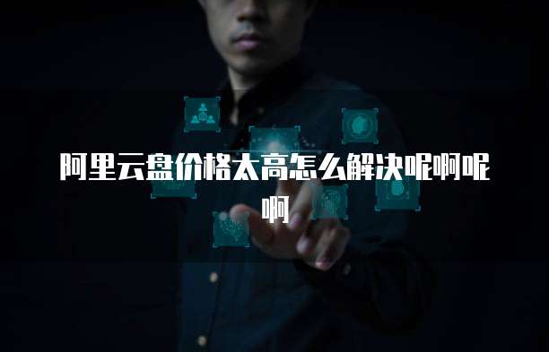 阿里云盘价格太高怎么解决呢啊呢啊