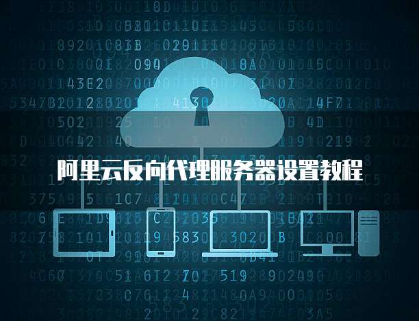 阿里云反向代理服务器设置教程