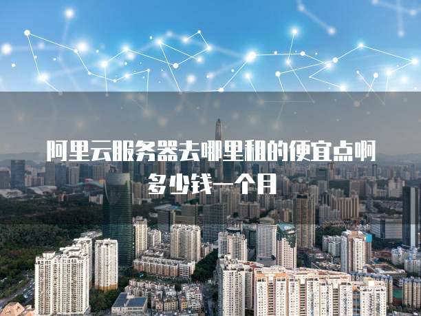 阿里云服务器去哪里租的便宜点啊多少钱一个月