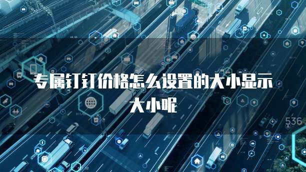 专属钉钉价格怎么设置的大小显示大小呢