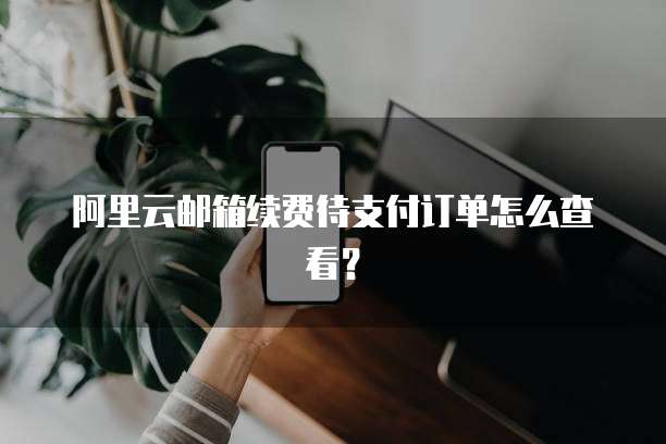 阿里云邮箱续费待支付订单怎么查看?
