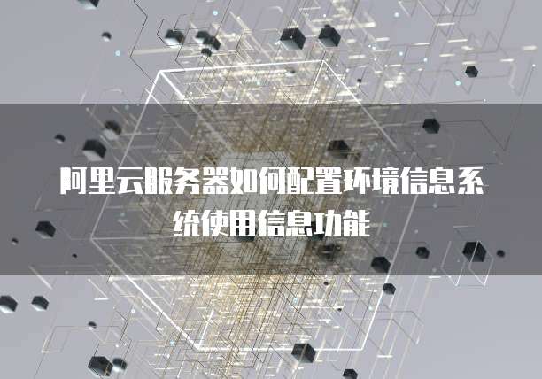 阿里云服务器如何配置环境信息系统使用信息功能