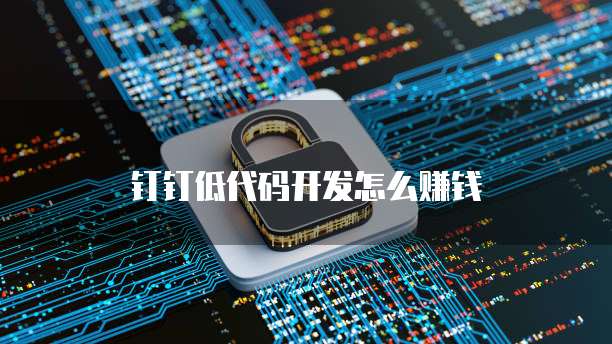 钉钉低代码开发怎么赚钱