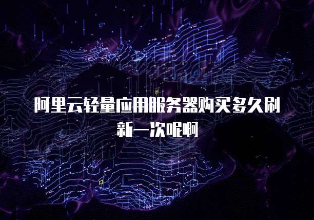 阿里云轻量应用服务器购买多久刷新一次呢啊