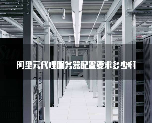 阿里云代理服务器配置要求多少啊