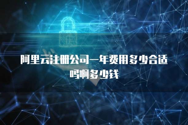 阿里云注册公司一年费用多少合适吗啊多少钱