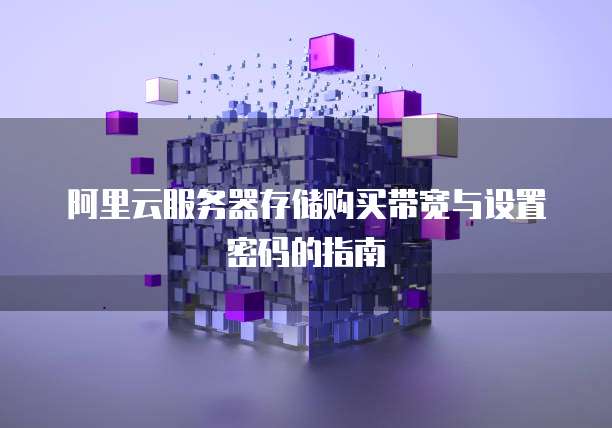 阿里云服务器存储购买带宽与设置密码的指南