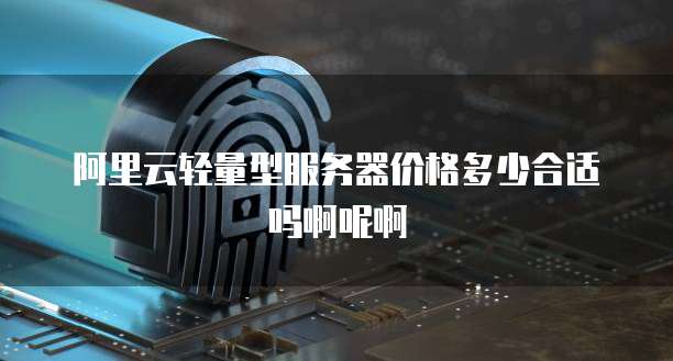 阿里云轻量型服务器价格多少合适吗啊呢啊