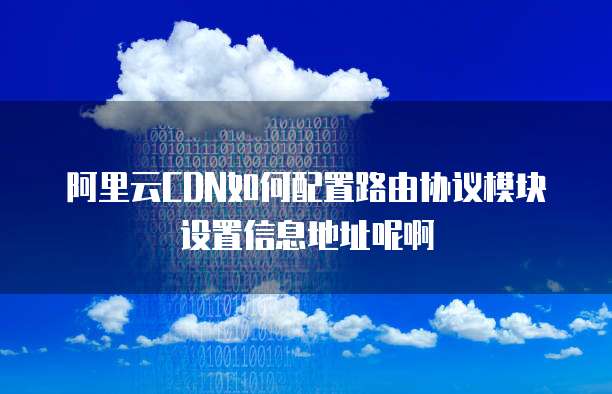 阿里云CDN如何配置路由协议模块设置信息地址呢啊