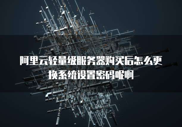 阿里云轻量级服务器购买后怎么更换系统设置密码呢啊