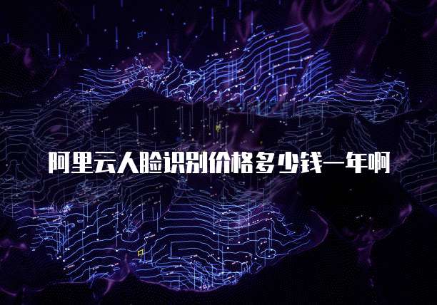 阿里云人脸识别价格多少钱一年啊