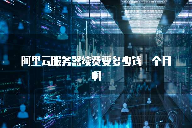 阿里云服务器续费要多少钱一个月啊
