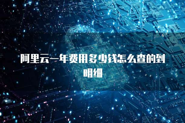 阿里云一年费用多少钱怎么查的到明细