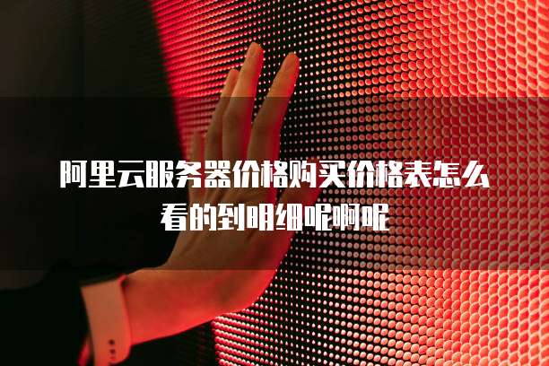 阿里云服务器价格购买价格表怎么看的到明细呢啊呢