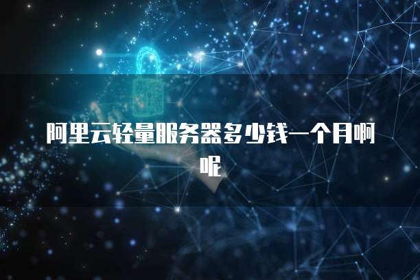 阿里云轻量服务器多少钱一个月啊呢