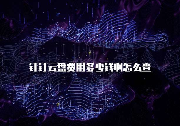 钉钉云盘费用多少钱啊怎么查