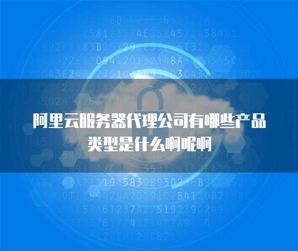 阿里云服务器代理公司有哪些产品类型是什么啊呢啊
