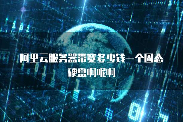阿里云服务器带宽多少钱一个固态硬盘啊呢啊