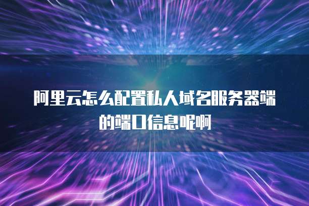 阿里云怎么配置私人域名服务器端的端口信息呢啊