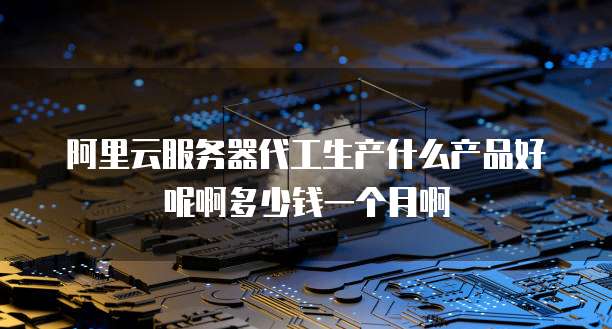 阿里云服务器代工生产什么产品好呢啊多少钱一个月啊