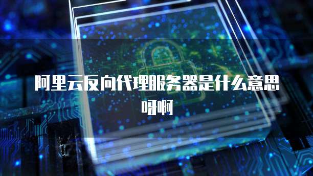 阿里云反向代理服务器是什么意思呀啊