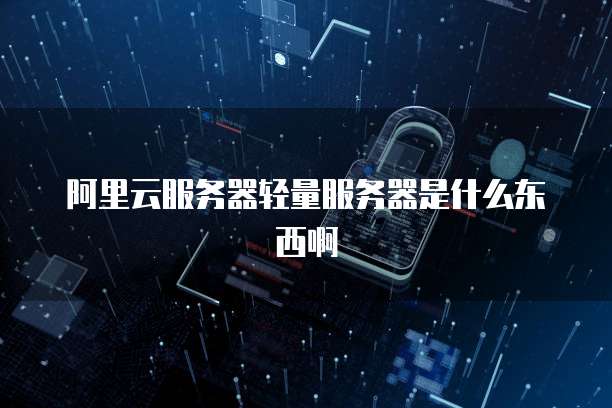 阿里云服务器轻量服务器是什么东西啊