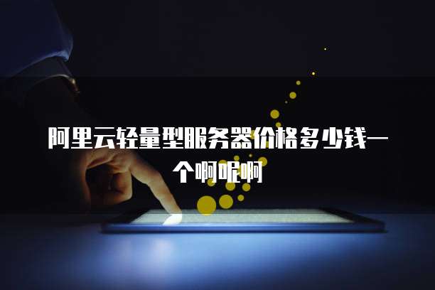 阿里云轻量型服务器价格多少钱一个啊呢啊