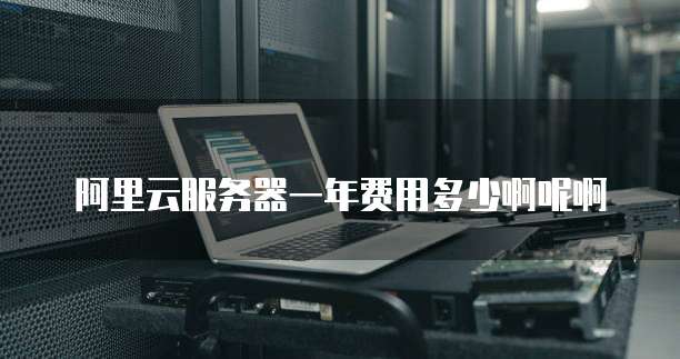 阿里云服务器一年费用多少啊呢啊