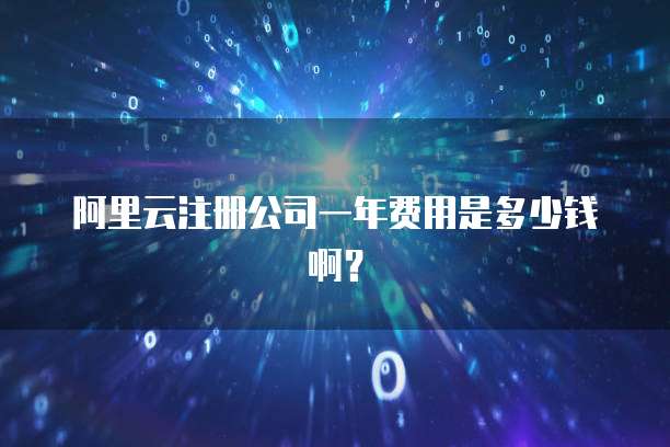 阿里云注册公司一年费用是多少钱啊?