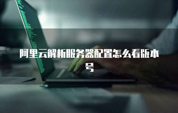 阿里云解析服务器配置怎么看版本号