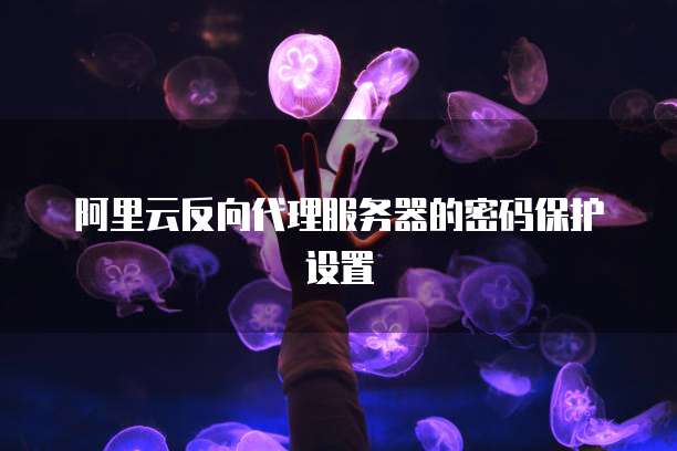 阿里云反向代理服务器的密码保护设置