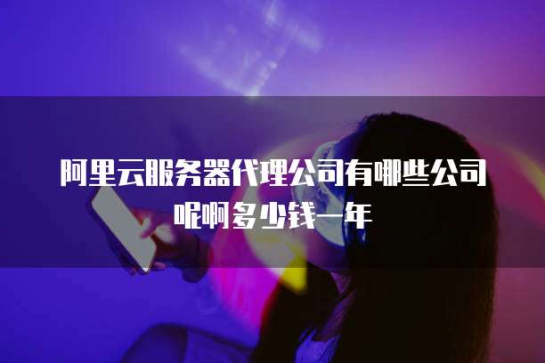 阿里云服务器代理公司有哪些公司呢啊多少钱一年