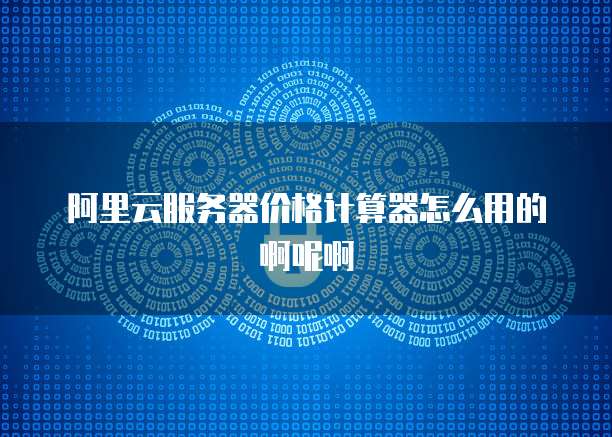 阿里云服务器价格计算器怎么用的啊呢啊