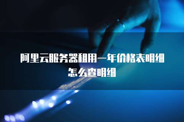 阿里云服务器租用一年价格表明细怎么查明细