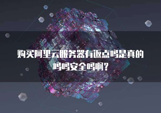 购买阿里云服务器有返点吗是真的吗吗安全吗啊?