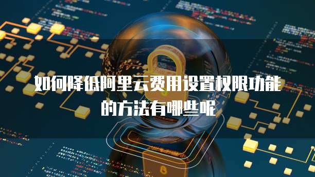 如何降低阿里云费用设置权限功能的方法有哪些呢
